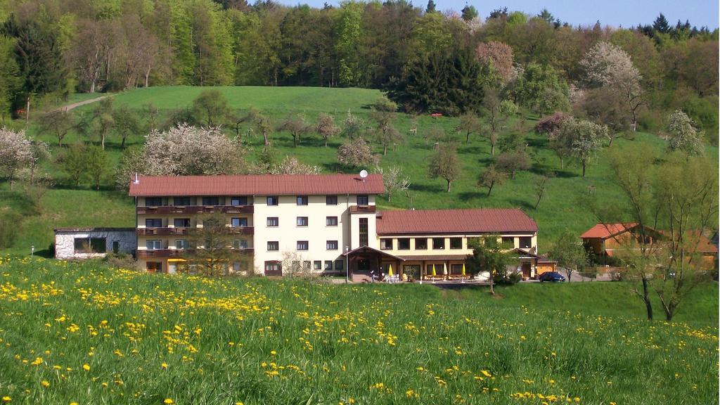 מלון Höchst im Odenwald Dornroeschen מראה חיצוני תמונה